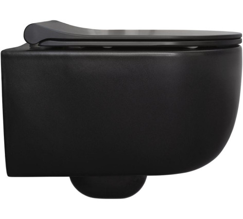 Чаша подвесного унитаза Allen Brau Priority 4.31002.31 черный матовый