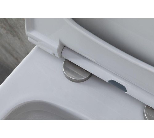 Чаша подвесного унитаза Allen Brau Priority 4.31002.20 белый глянец