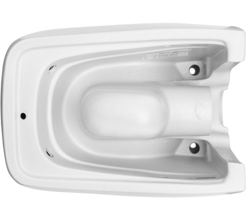 Чаша подвесного унитаза Allen Brau Liberty 4.33007.21 белый матовый