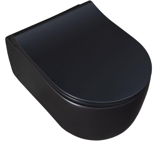 Чаша подвесного унитаза Allen Brau Priority 4.31002.31 черный матовый