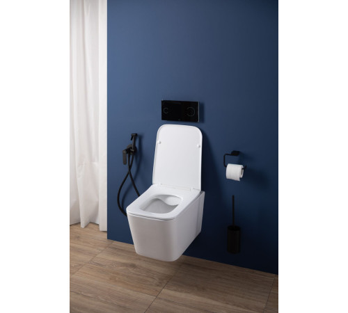 Унитаз подвесной Aquanet Rimless Tavr 2.0 W LX-1907