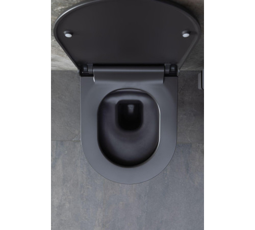 Чаша подвесного унитаза Allen Brau Priority 4.31002.AN антрацит