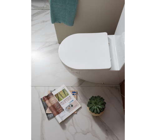 Чаша напольного унитаза Aquanet Rimless Cetus 2.0 C1 LX-2903