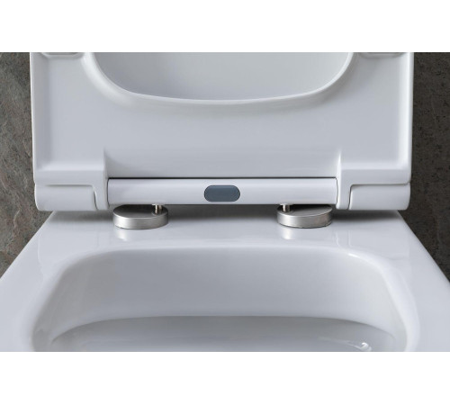 Чаша подвесного унитаза Allen Brau Priority 4.31002.20 белый глянец