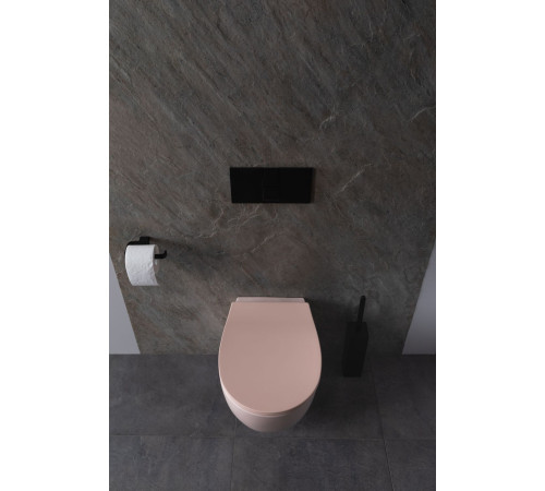 Чаша подвесного унитаза Allen Brau Fantasy 4.11004.SM розовый