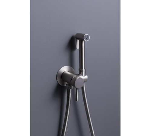 Смеситель с гигиеническим душем Allen Brau Priority 5.31A29-BN (с внутренней частью) никель браш