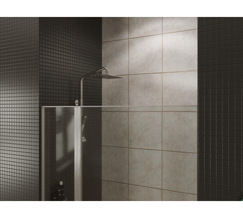 Душевая дверь Allen Brau Priority 140 3.31011.BA серебро браш