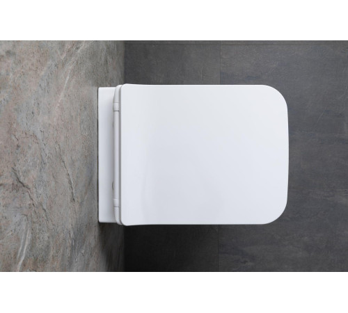 Чаша подвесного унитаза Allen Brau Liberty 4.33007.21 белый матовый