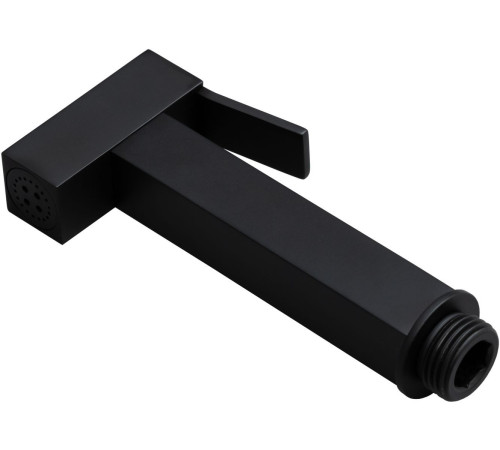 Гигиенический душ Allen Brau Infinity 5.21A05-31 черный матовый