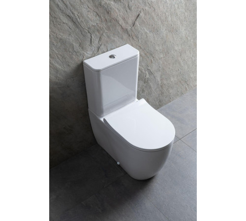 Чаша напольного унитаза Allen Brau Priority 4.31003.20 белый