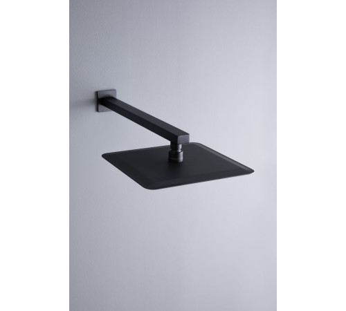 Верхний душ Allen Brau Infinity 5.21A19-31 черный матовый