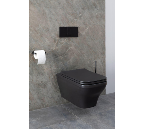 Чаша подвесного унитаза Allen Brau Infinity 4.21011.31 черный матовый