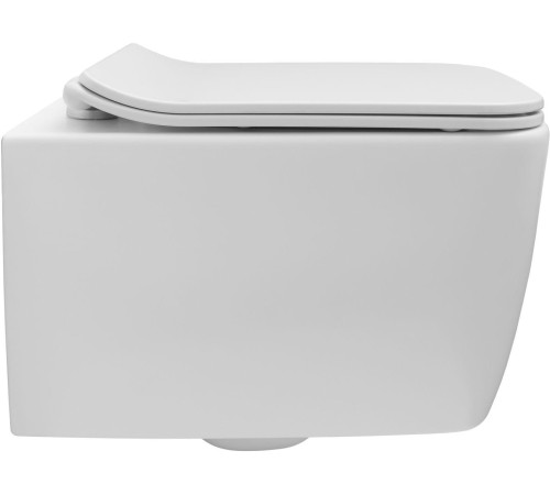 Чаша подвесного унитаза Allen Brau Liberty 4.33007.21 белый матовый