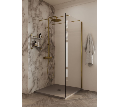 Душевая перегородка Allen Brau Infinity 2 120 3.21044.BA.T серебро браш