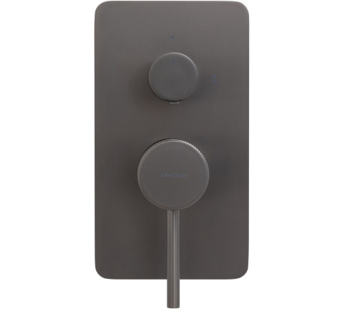 Смеситель для ванны Allen Brau Priority 5.31011-MG (с внутренней частью, 2 выхода) графит браш