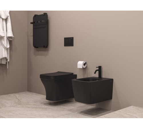 Клавиша смыва Allen Brau Liberty 9.20002.31 черный матовый