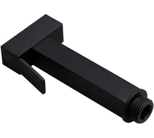 Гигиенический душ Allen Brau Infinity 5.21A05-31 черный матовый