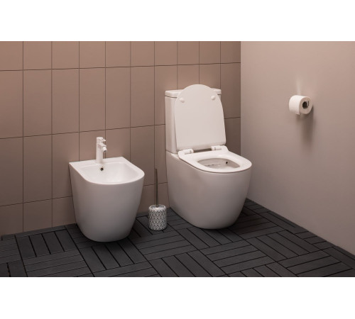 Чаша напольного унитаза Aquanet Rimless Cetus-C1 BL-102N-TPT