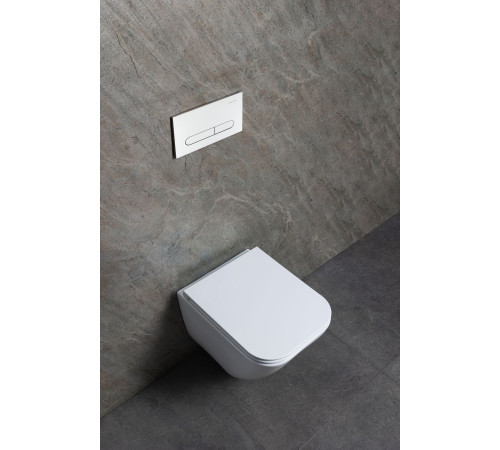 Чаша подвесного унитаза Allen Brau Liberty 4.33012.20 белый