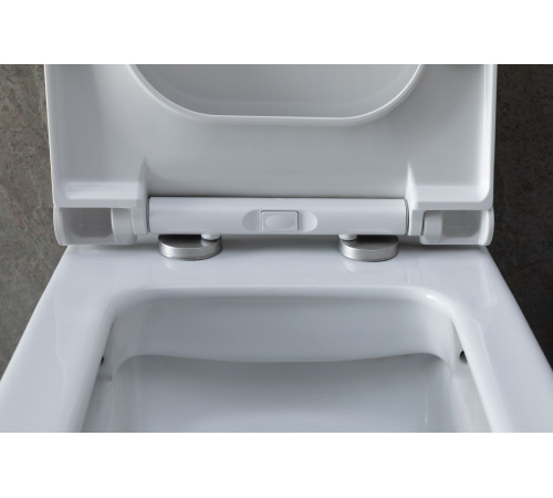 Чаша напольного унитаза Allen Brau Infinity 4.21012.20 белый глянец