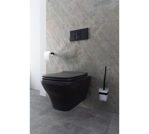 Чаша подвесного унитаза Allen Brau Infinity 4.21011.AN антрацит