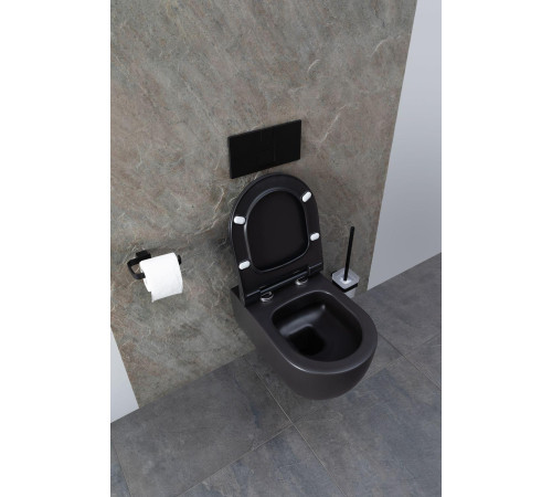 Чаша подвесного унитаза Allen Brau Priority 4.31001.31 черный матовый