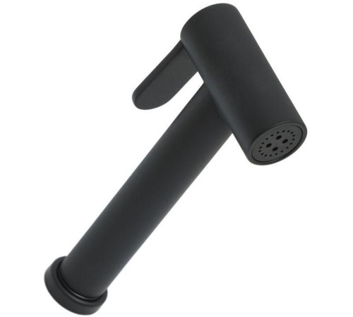 Гигиеническая лейка Allen Brau Priority 5.31028-31 черный матовый