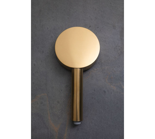 Душевая лейка Allen Brau Priority 5.31B20-GB золото