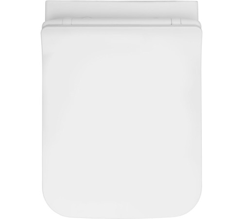 Чаша подвесного унитаза Allen Brau Liberty 4.33009.20 белый