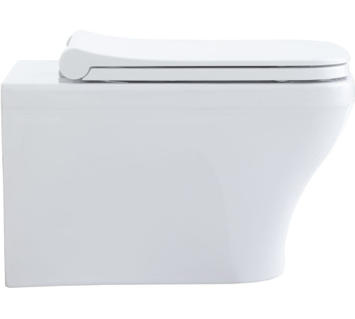 Чаша подвесного унитаза Allen Brau Infinity 4.21011.20 белый глянец