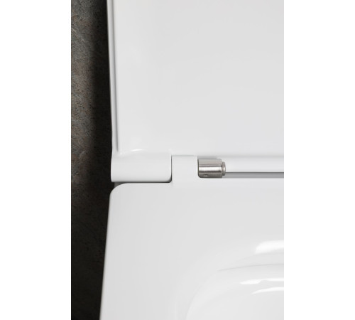 Чаша подвесного унитаза Allen Brau Liberty 4.33011.20 белый