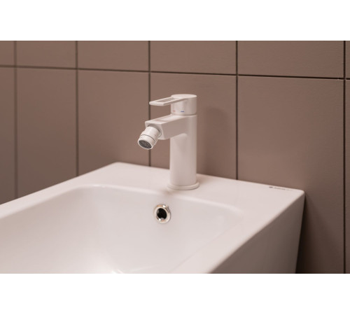 Чаша напольного унитаза Aquanet Rimless Cetus-C1 BL-102N-TPT