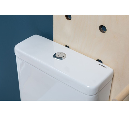 Чаша напольного унитаза Aquanet Rimless Cetus-C1 BL-102N-TPT