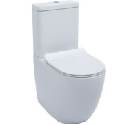 Чаша напольного унитаза Aquanet Rimless Cetus-C1 BL-102N-TPT