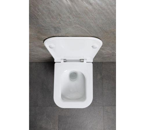 Чаша подвесного унитаза Allen Brau Liberty 4.33012.20 белый