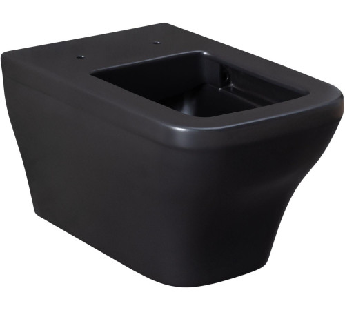 Чаша подвесного унитаза Allen Brau Infinity 4.21011.31 черный матовый