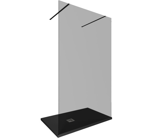 Душевая перегородка Allen Brau Infinity 2 120 3.21044.BA.T серебро браш