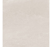 Керамогранит Про Матрикс DD601820R Светло-бежевый матовый 60х60