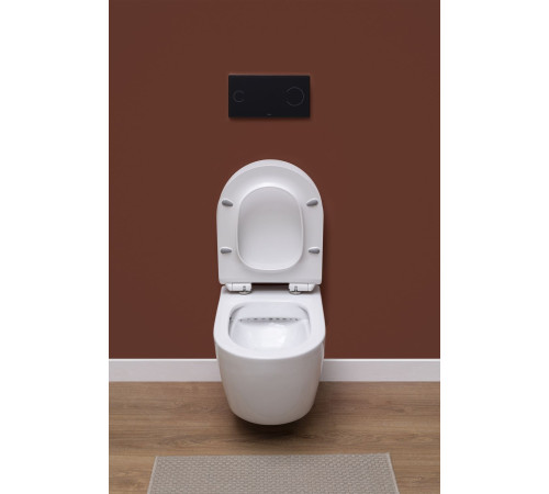 Унитаз подвесной Aquanet Rimless Cetus-W BL-102N-WHT