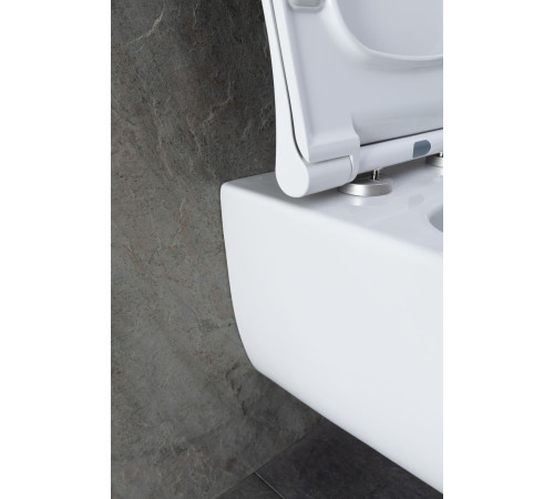 Чаша подвесного унитаза Allen Brau Priority 4.31001.20 белый глянец