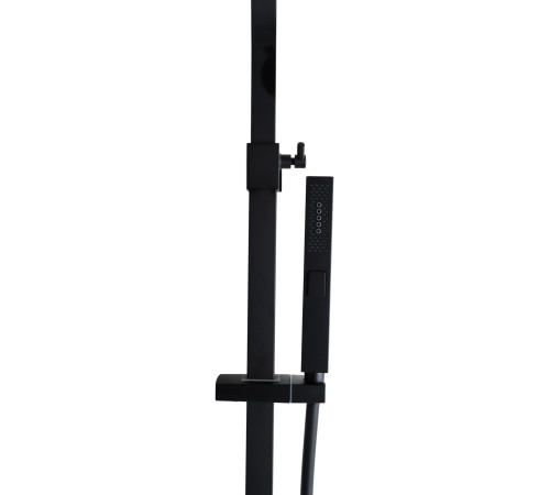 Душевая стойка Allen Brau Infinity 5.21012-31 черный матовый