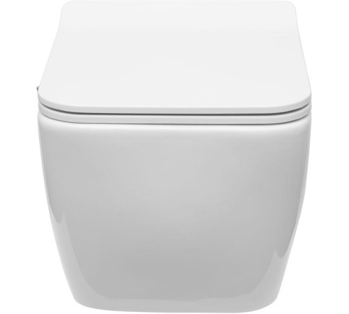 Чаша подвесного унитаза Allen Brau Liberty 4.33009.20 белый