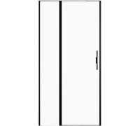 Душевая дверь Allen Brau Priority 100 3.31006.BBA черный браш