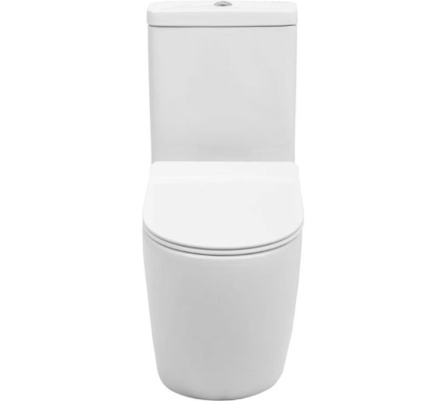 Чаша напольного унитаза Aquanet Rimless Cetus-C1 BL-102N-TPT