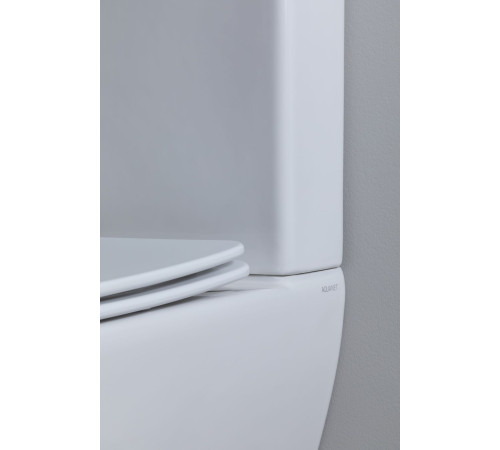 Чаша унитаза Aquanet Fine Rimless FINE-C Soft Close