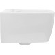 Чаша подвесного унитаза Allen Brau Liberty 4.33007.20 белый