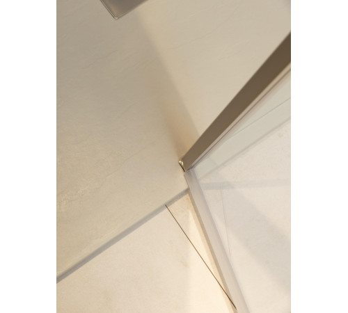 Душевая дверь Allen Brau Priority 100 3.31029.BA серебро браш