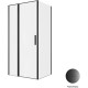 Душевой уголок Allen Brau Priority 100x80 3.31030.BBA + 3.31042.BBA черный браш