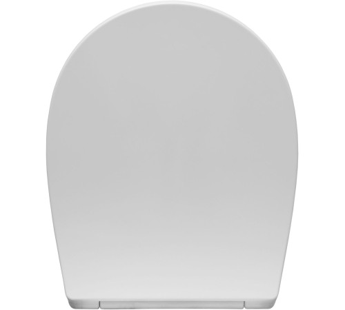 Сиденье для унитаза Allen Brau Fantasy 4.11005.21 белый матовый