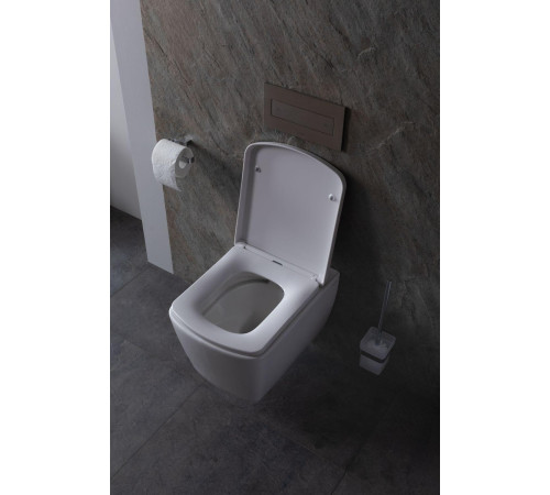 Крышка-сиденье для унитаза Allen Brau Liberty 4.33006.20 белый глянец